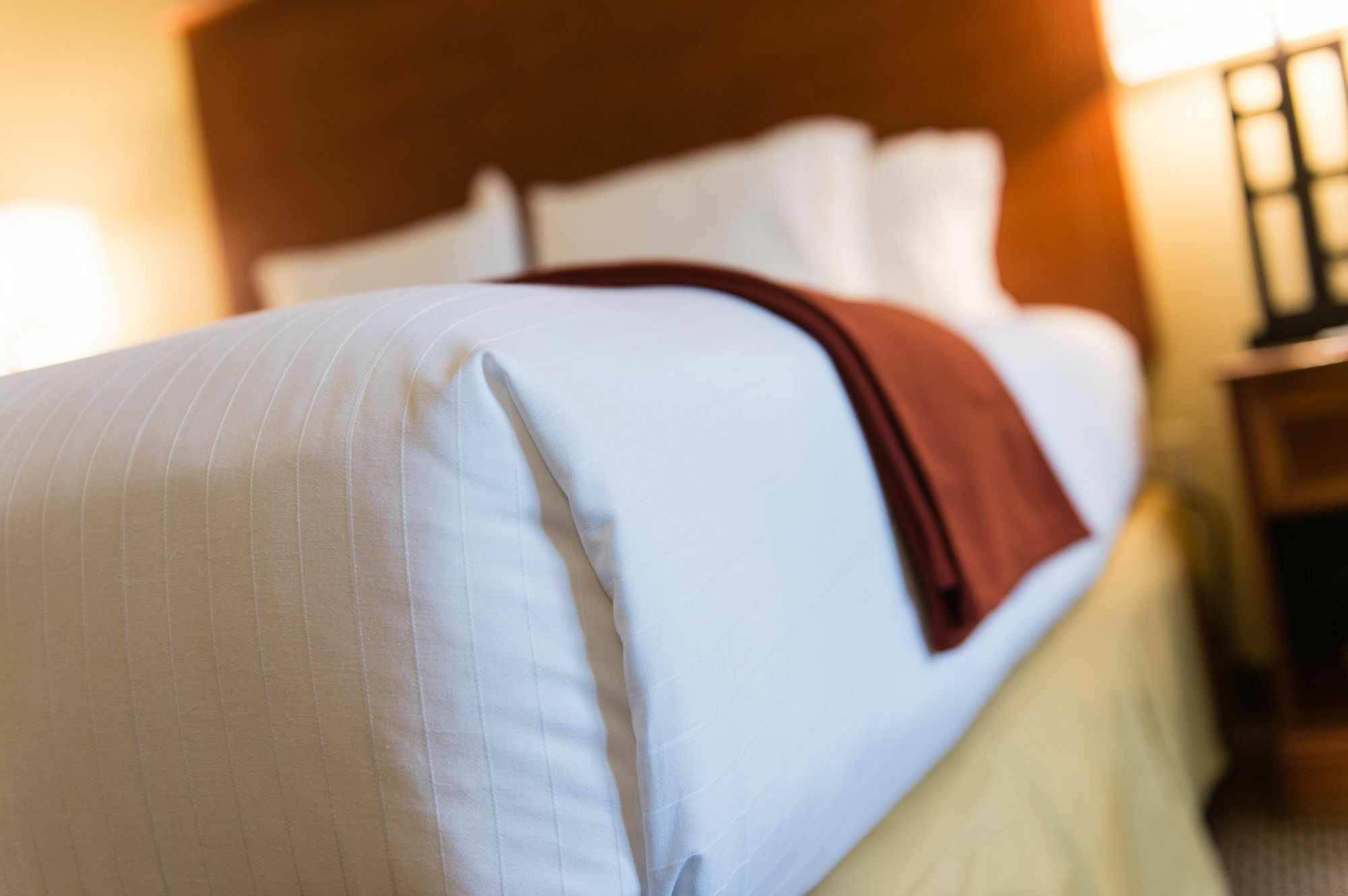 Holiday Inn Express & Suites Columbia-I-26 @ Harbison Blvd By Ihg Екстер'єр фото